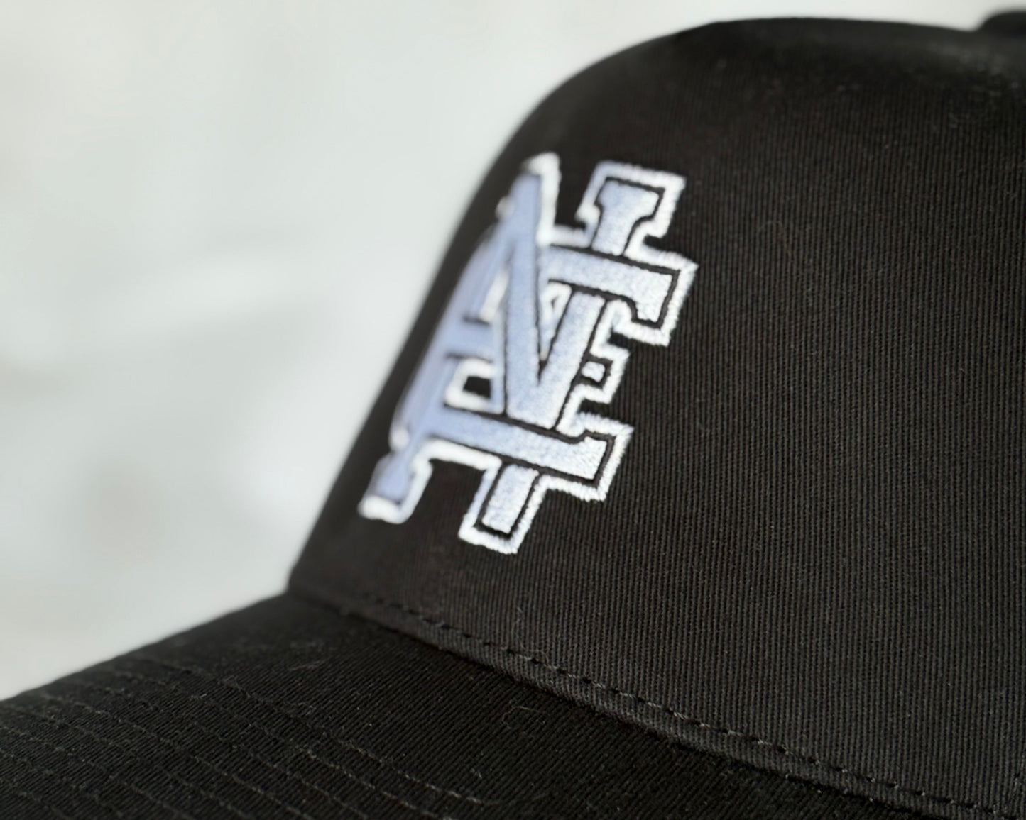 The Logo Hat