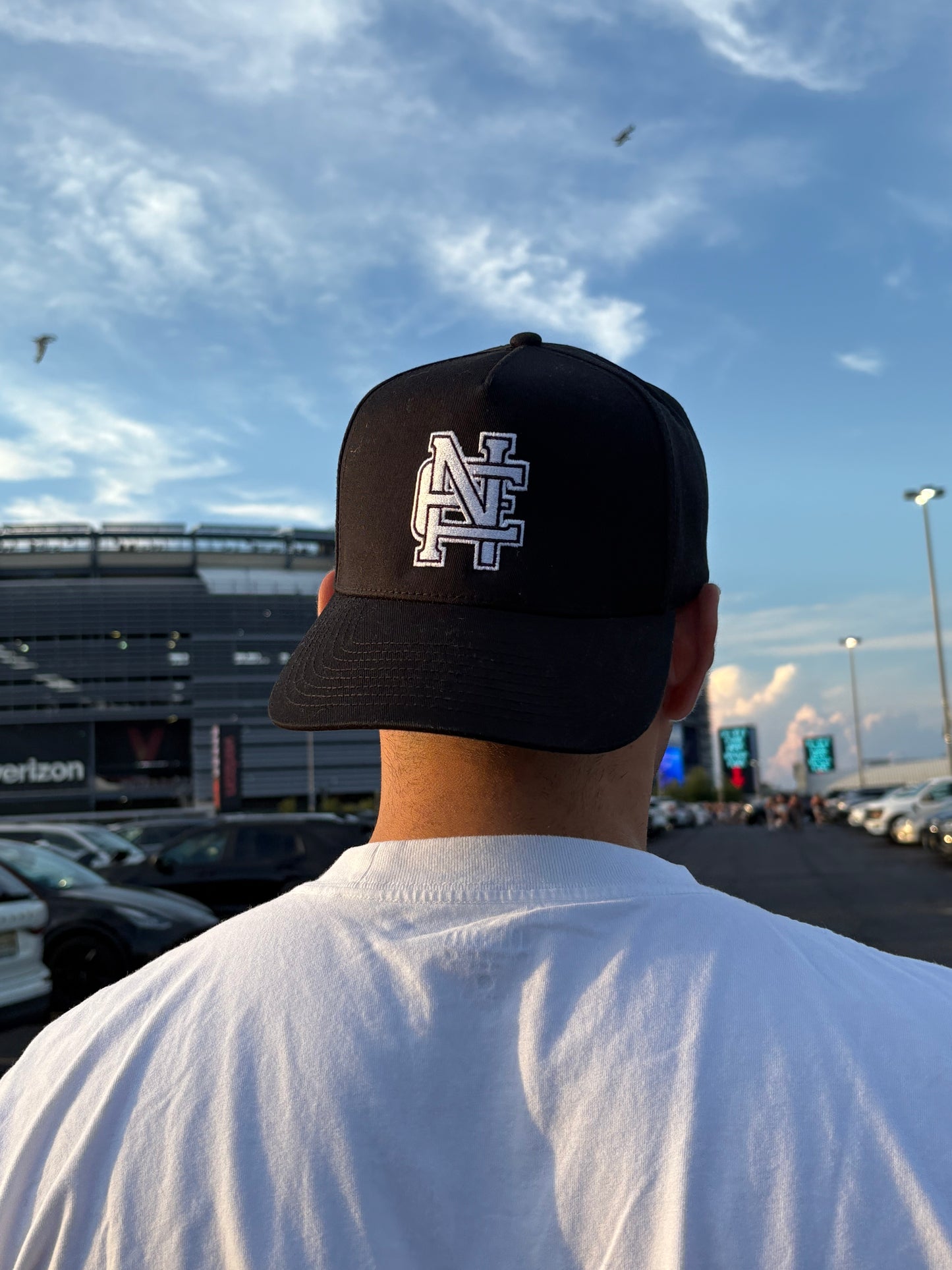 The Logo Hat